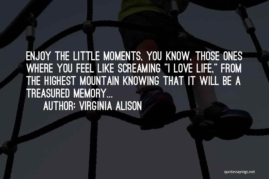 Virginia Alison Quotes: Enjoy The Little Moments, You Know, Those Ones Where You Feel Like Screaming I Love Life, From The Highest Mountain