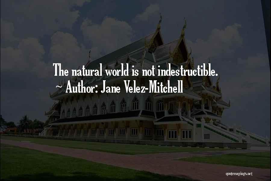 Jane Velez-Mitchell Quotes: The Natural World Is Not Indestructible.