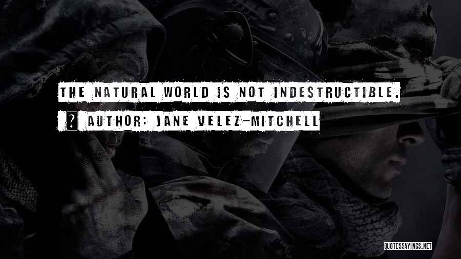 Jane Velez-Mitchell Quotes: The Natural World Is Not Indestructible.