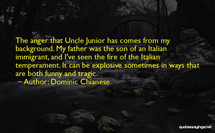 Dominic Chianese Quotes: The Anger That Uncle Junior Has Comes From My Background. My Father Was The Son Of An Italian Immigrant, And