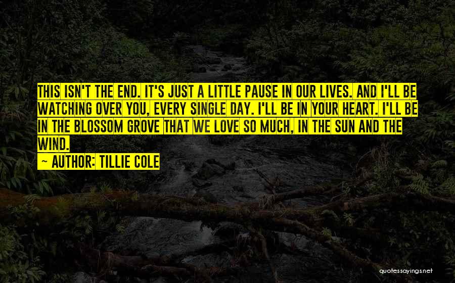 Tillie Cole Quotes: This Isn't The End. It's Just A Little Pause In Our Lives. And I'll Be Watching Over You, Every Single