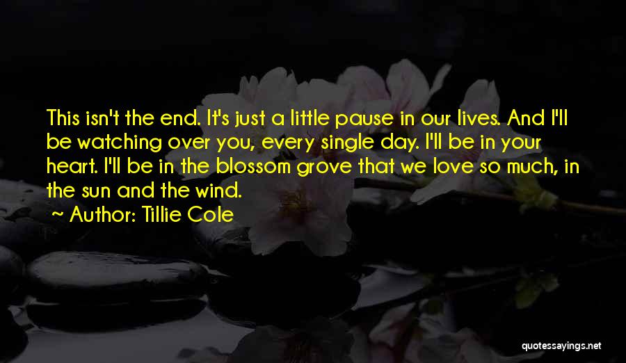 Tillie Cole Quotes: This Isn't The End. It's Just A Little Pause In Our Lives. And I'll Be Watching Over You, Every Single