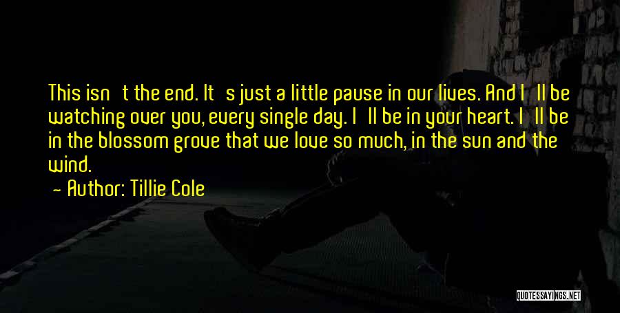 Tillie Cole Quotes: This Isn't The End. It's Just A Little Pause In Our Lives. And I'll Be Watching Over You, Every Single