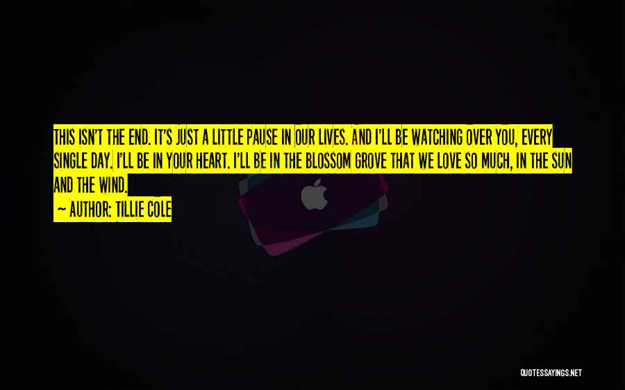 Tillie Cole Quotes: This Isn't The End. It's Just A Little Pause In Our Lives. And I'll Be Watching Over You, Every Single