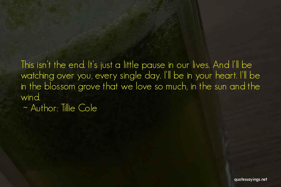 Tillie Cole Quotes: This Isn't The End. It's Just A Little Pause In Our Lives. And I'll Be Watching Over You, Every Single