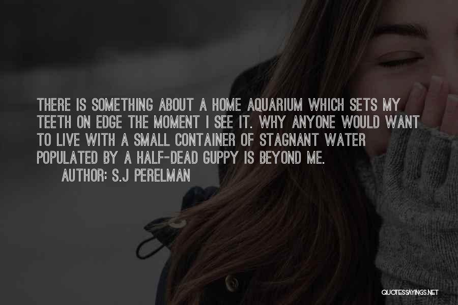 S.J Perelman Quotes: There Is Something About A Home Aquarium Which Sets My Teeth On Edge The Moment I See It. Why Anyone