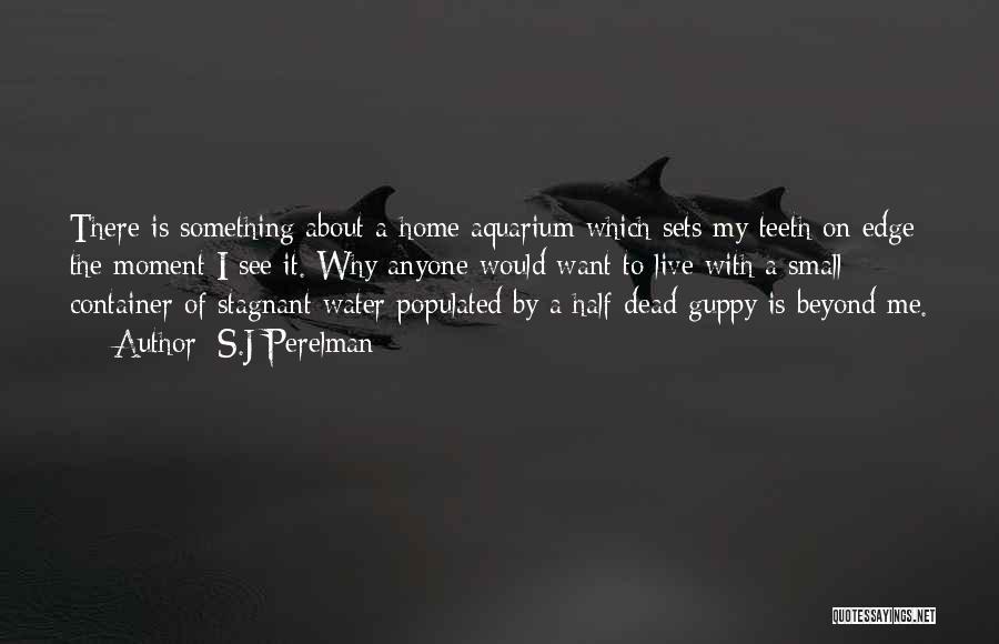 S.J Perelman Quotes: There Is Something About A Home Aquarium Which Sets My Teeth On Edge The Moment I See It. Why Anyone