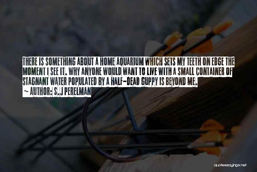 S.J Perelman Quotes: There Is Something About A Home Aquarium Which Sets My Teeth On Edge The Moment I See It. Why Anyone