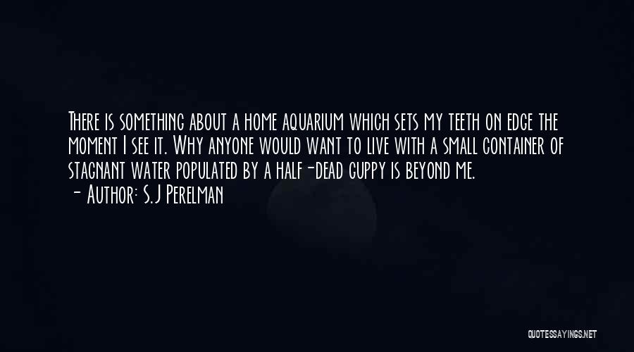 S.J Perelman Quotes: There Is Something About A Home Aquarium Which Sets My Teeth On Edge The Moment I See It. Why Anyone