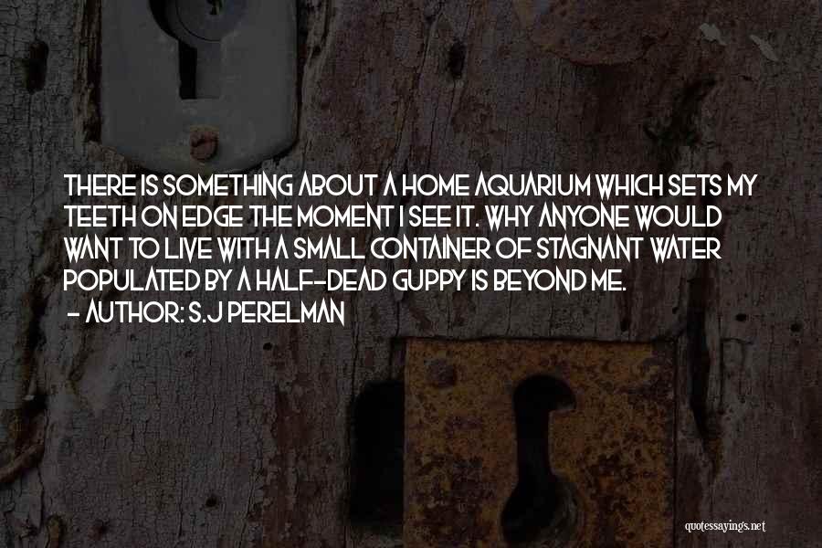 S.J Perelman Quotes: There Is Something About A Home Aquarium Which Sets My Teeth On Edge The Moment I See It. Why Anyone