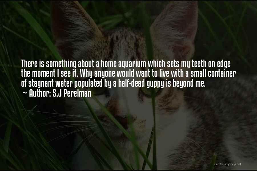 S.J Perelman Quotes: There Is Something About A Home Aquarium Which Sets My Teeth On Edge The Moment I See It. Why Anyone