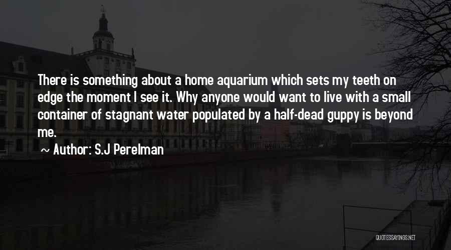 S.J Perelman Quotes: There Is Something About A Home Aquarium Which Sets My Teeth On Edge The Moment I See It. Why Anyone