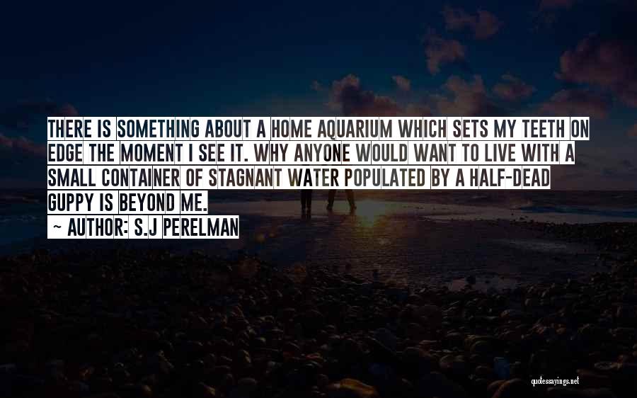 S.J Perelman Quotes: There Is Something About A Home Aquarium Which Sets My Teeth On Edge The Moment I See It. Why Anyone