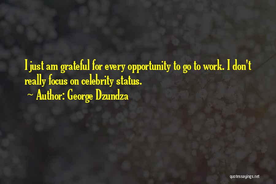 George Dzundza Quotes: I Just Am Grateful For Every Opportunity To Go To Work. I Don't Really Focus On Celebrity Status.
