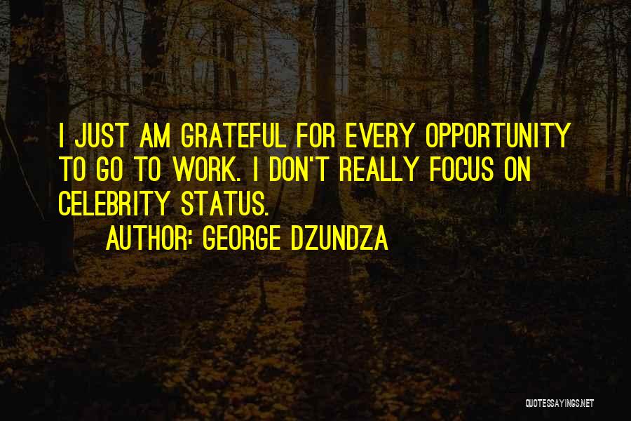 George Dzundza Quotes: I Just Am Grateful For Every Opportunity To Go To Work. I Don't Really Focus On Celebrity Status.