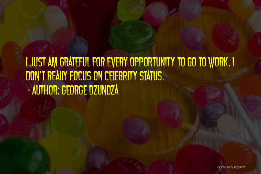 George Dzundza Quotes: I Just Am Grateful For Every Opportunity To Go To Work. I Don't Really Focus On Celebrity Status.