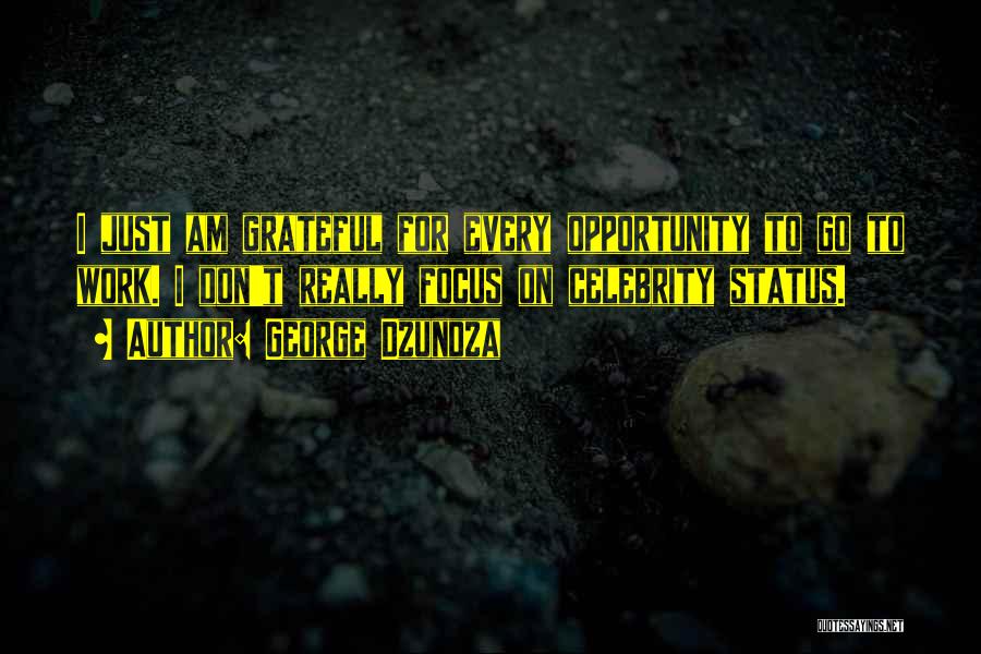 George Dzundza Quotes: I Just Am Grateful For Every Opportunity To Go To Work. I Don't Really Focus On Celebrity Status.