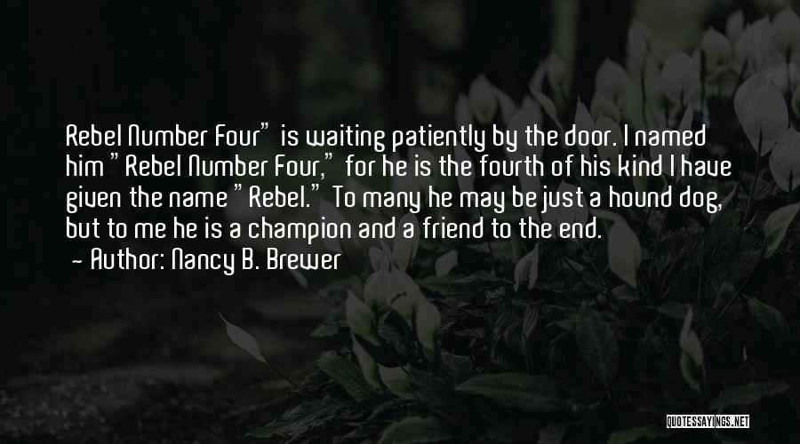 Nancy B. Brewer Quotes: Rebel Number Four Is Waiting Patiently By The Door. I Named Him Rebel Number Four, For He Is The Fourth