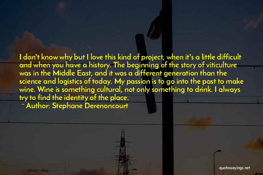 Stephane Derenoncourt Quotes: I Don't Know Why But I Love This Kind Of Project, When It's A Little Difficult And When You Have