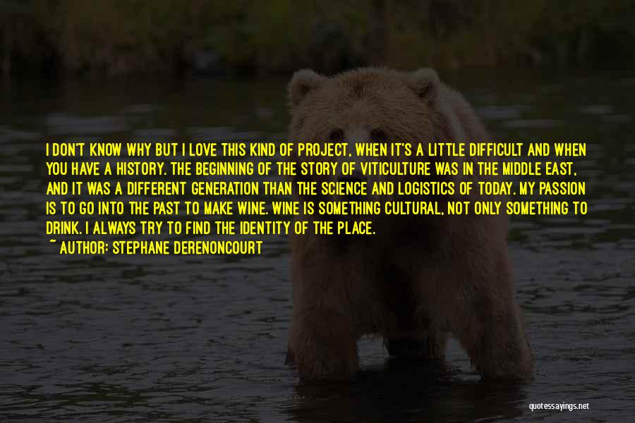 Stephane Derenoncourt Quotes: I Don't Know Why But I Love This Kind Of Project, When It's A Little Difficult And When You Have