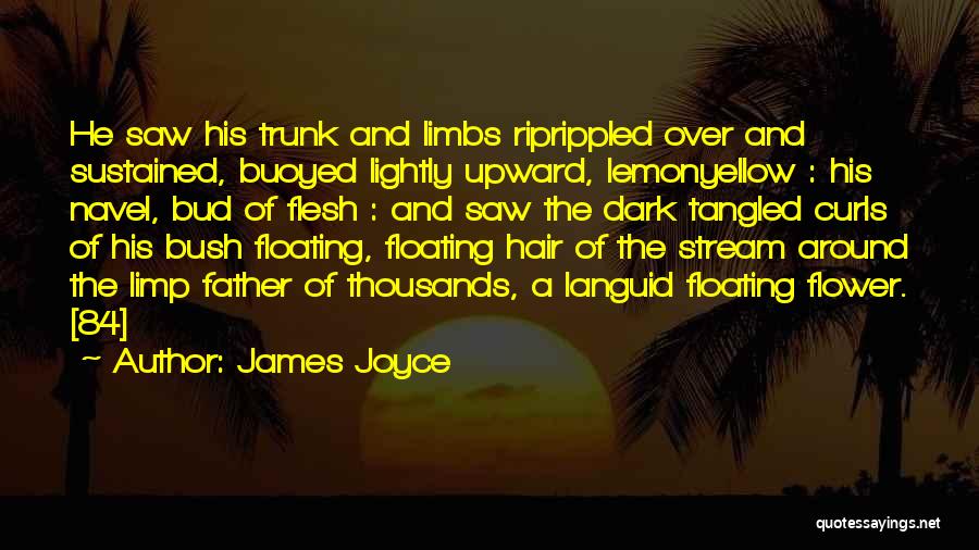 James Joyce Quotes: He Saw His Trunk And Limbs Riprippled Over And Sustained, Buoyed Lightly Upward, Lemonyellow : His Navel, Bud Of Flesh