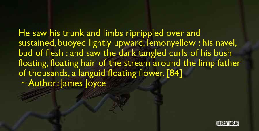 James Joyce Quotes: He Saw His Trunk And Limbs Riprippled Over And Sustained, Buoyed Lightly Upward, Lemonyellow : His Navel, Bud Of Flesh