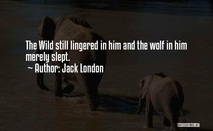 Jack London Quotes: The Wild Still Lingered In Him And The Wolf In Him Merely Slept.