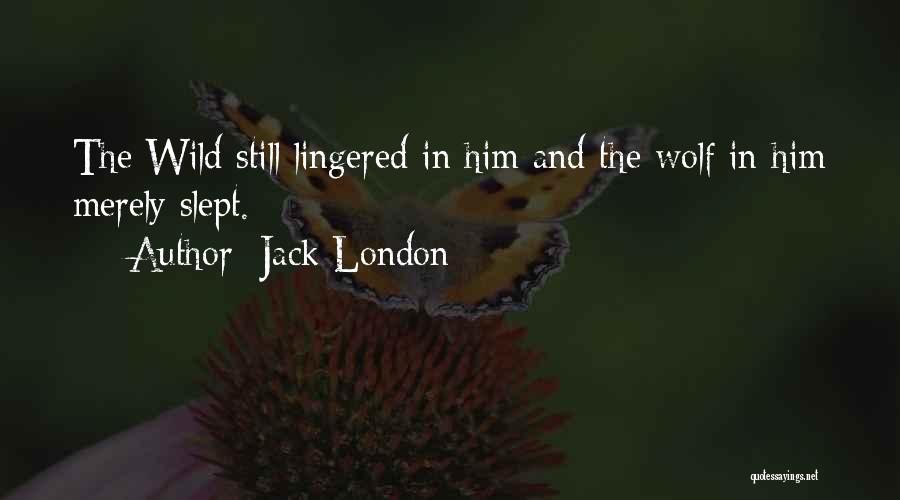 Jack London Quotes: The Wild Still Lingered In Him And The Wolf In Him Merely Slept.