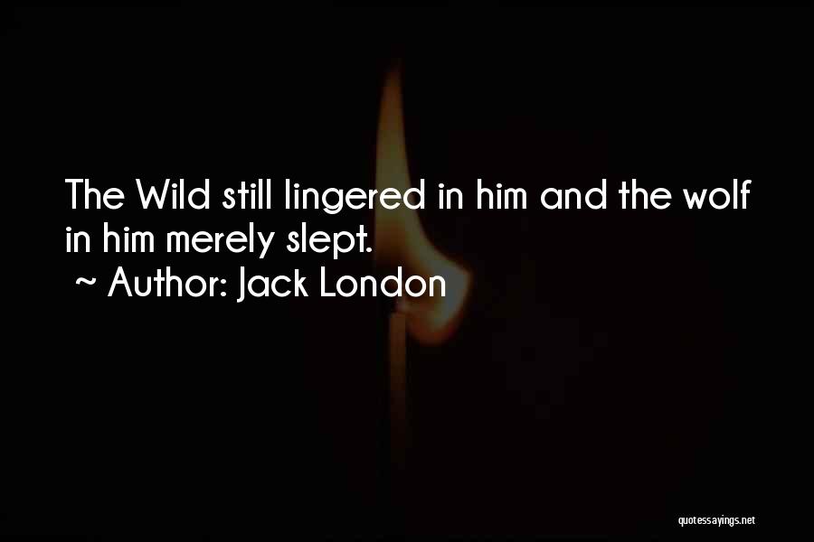 Jack London Quotes: The Wild Still Lingered In Him And The Wolf In Him Merely Slept.