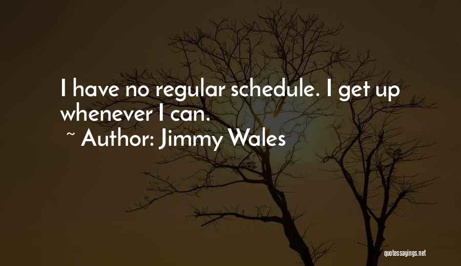 Jimmy Wales Quotes: I Have No Regular Schedule. I Get Up Whenever I Can.