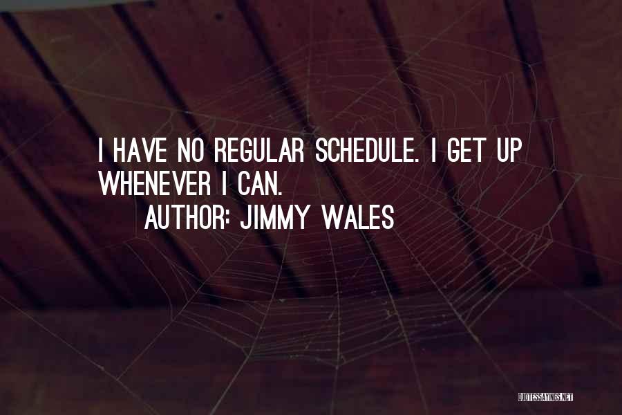 Jimmy Wales Quotes: I Have No Regular Schedule. I Get Up Whenever I Can.