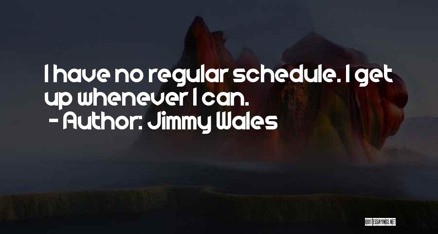 Jimmy Wales Quotes: I Have No Regular Schedule. I Get Up Whenever I Can.