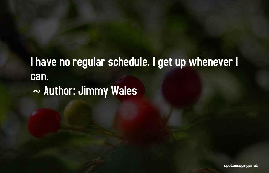 Jimmy Wales Quotes: I Have No Regular Schedule. I Get Up Whenever I Can.