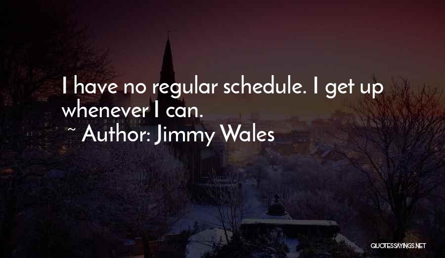 Jimmy Wales Quotes: I Have No Regular Schedule. I Get Up Whenever I Can.