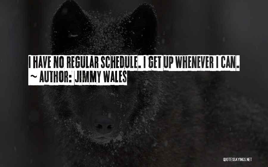 Jimmy Wales Quotes: I Have No Regular Schedule. I Get Up Whenever I Can.