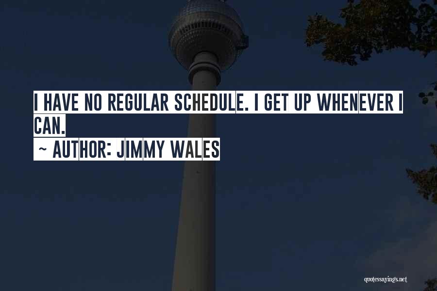 Jimmy Wales Quotes: I Have No Regular Schedule. I Get Up Whenever I Can.