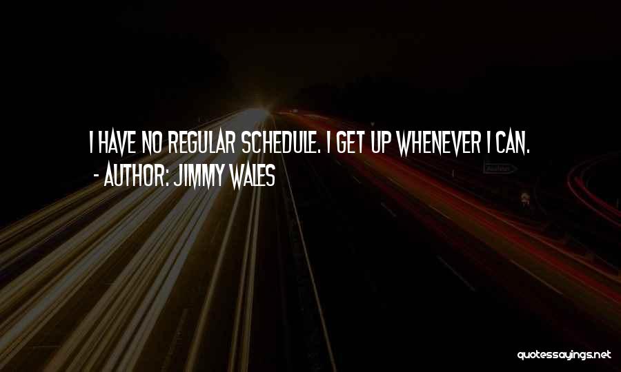 Jimmy Wales Quotes: I Have No Regular Schedule. I Get Up Whenever I Can.