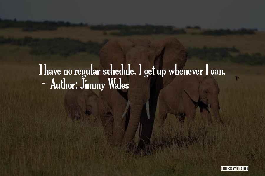 Jimmy Wales Quotes: I Have No Regular Schedule. I Get Up Whenever I Can.