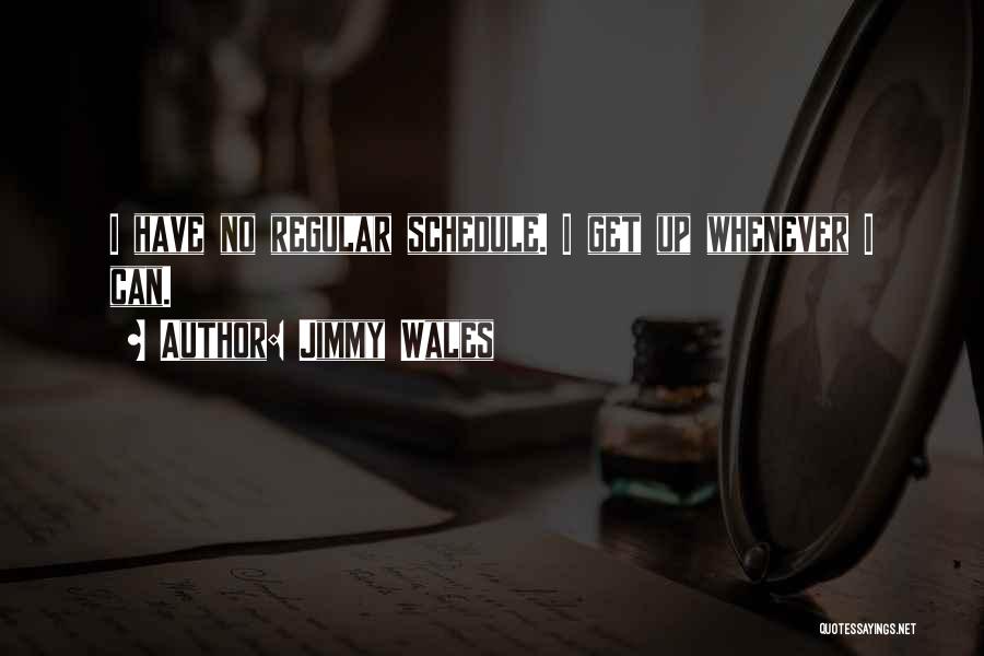 Jimmy Wales Quotes: I Have No Regular Schedule. I Get Up Whenever I Can.