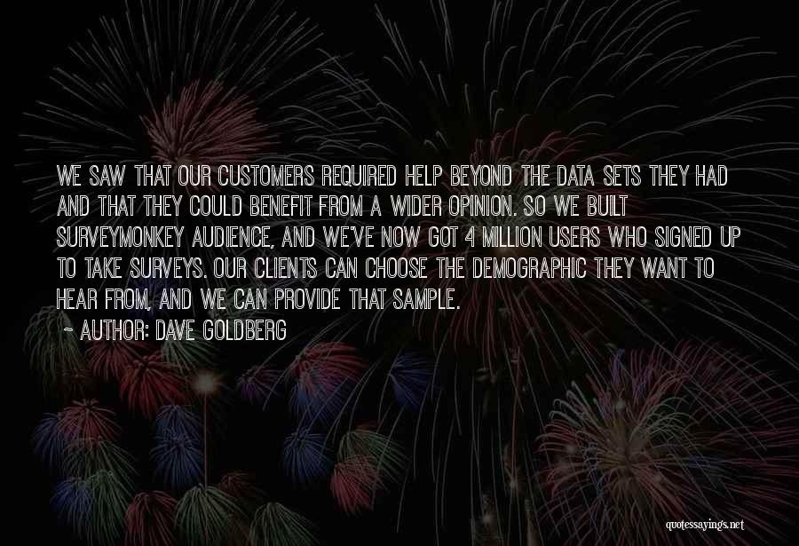 Dave Goldberg Quotes: We Saw That Our Customers Required Help Beyond The Data Sets They Had And That They Could Benefit From A