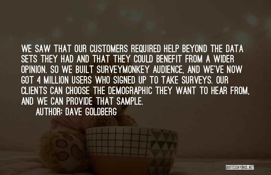 Dave Goldberg Quotes: We Saw That Our Customers Required Help Beyond The Data Sets They Had And That They Could Benefit From A