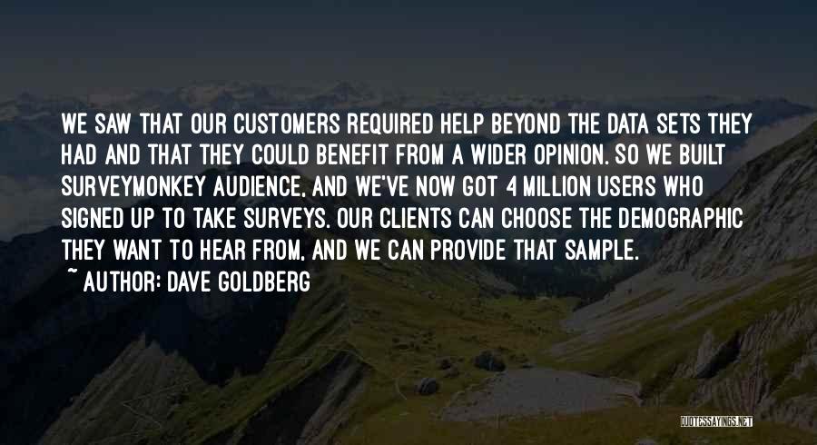 Dave Goldberg Quotes: We Saw That Our Customers Required Help Beyond The Data Sets They Had And That They Could Benefit From A