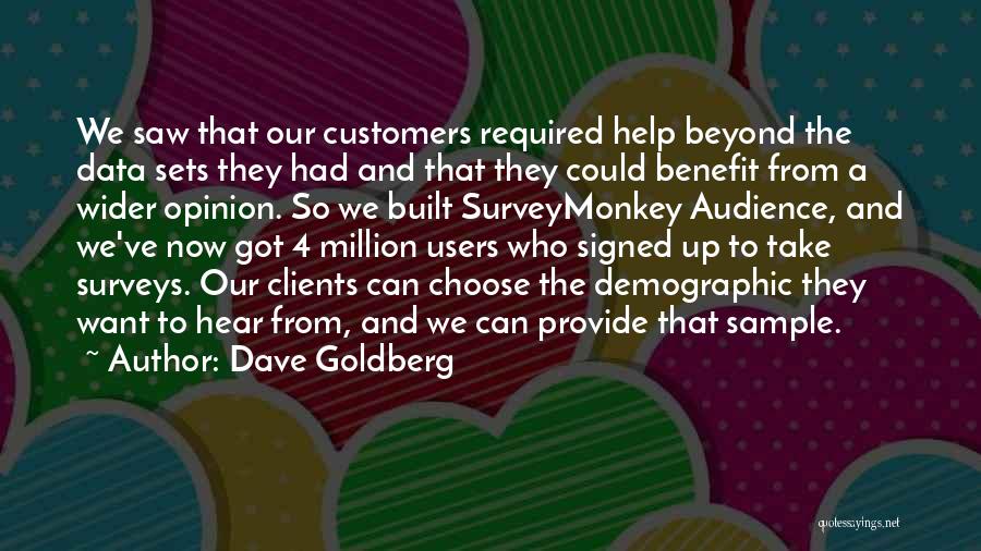 Dave Goldberg Quotes: We Saw That Our Customers Required Help Beyond The Data Sets They Had And That They Could Benefit From A