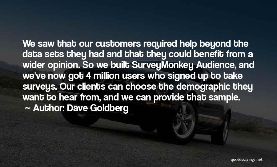 Dave Goldberg Quotes: We Saw That Our Customers Required Help Beyond The Data Sets They Had And That They Could Benefit From A