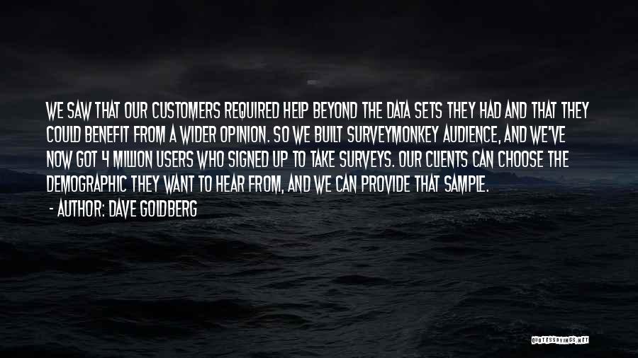 Dave Goldberg Quotes: We Saw That Our Customers Required Help Beyond The Data Sets They Had And That They Could Benefit From A