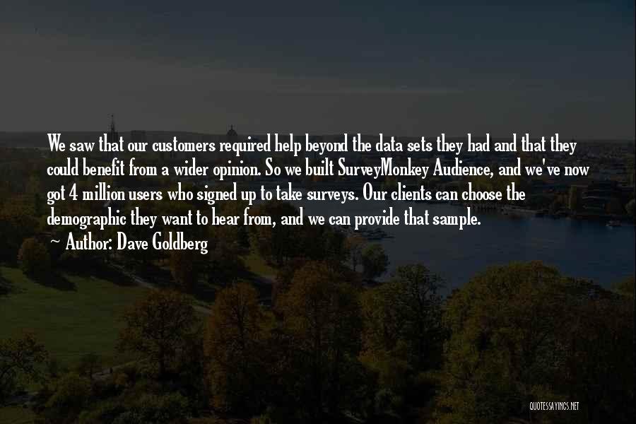 Dave Goldberg Quotes: We Saw That Our Customers Required Help Beyond The Data Sets They Had And That They Could Benefit From A