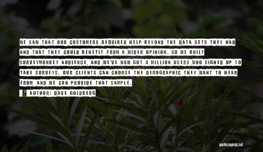 Dave Goldberg Quotes: We Saw That Our Customers Required Help Beyond The Data Sets They Had And That They Could Benefit From A