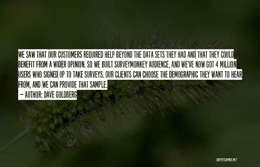 Dave Goldberg Quotes: We Saw That Our Customers Required Help Beyond The Data Sets They Had And That They Could Benefit From A