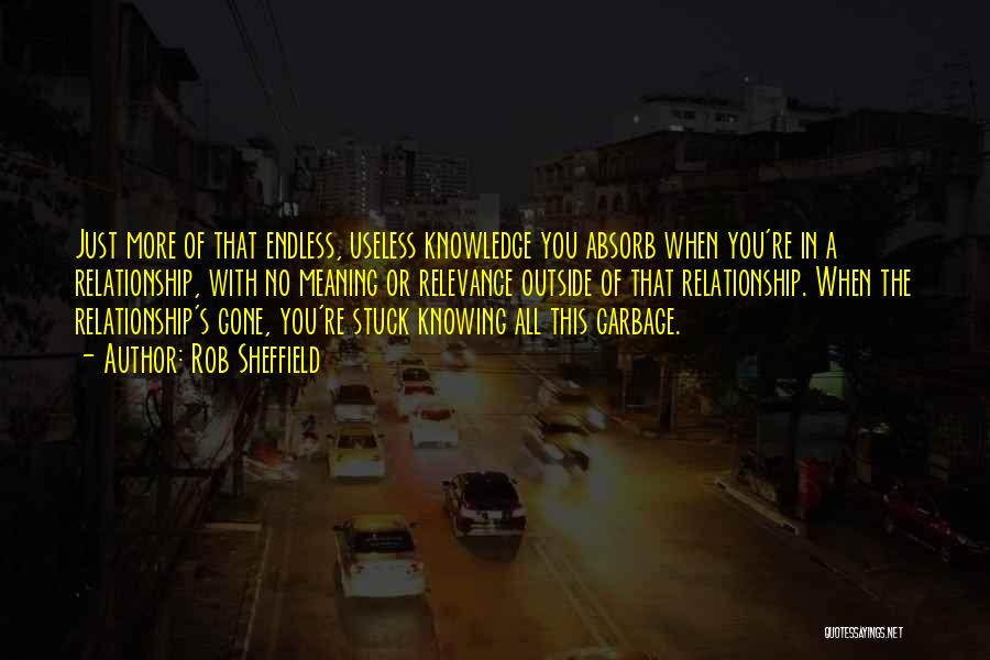 Rob Sheffield Quotes: Just More Of That Endless, Useless Knowledge You Absorb When You're In A Relationship, With No Meaning Or Relevance Outside