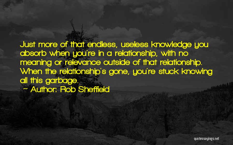 Rob Sheffield Quotes: Just More Of That Endless, Useless Knowledge You Absorb When You're In A Relationship, With No Meaning Or Relevance Outside